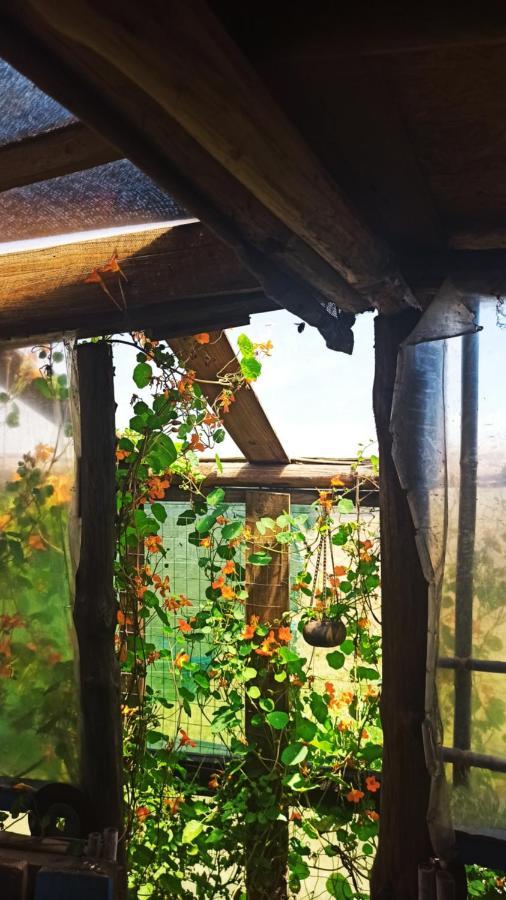 Bunker Hostel 카보 폴로니오 외부 사진