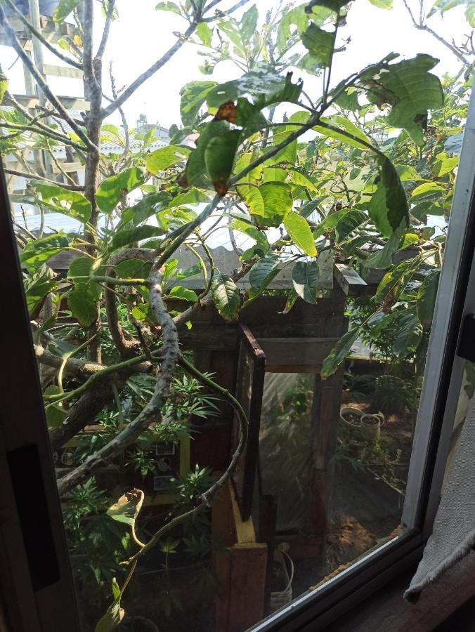 Bunker Hostel 카보 폴로니오 외부 사진
