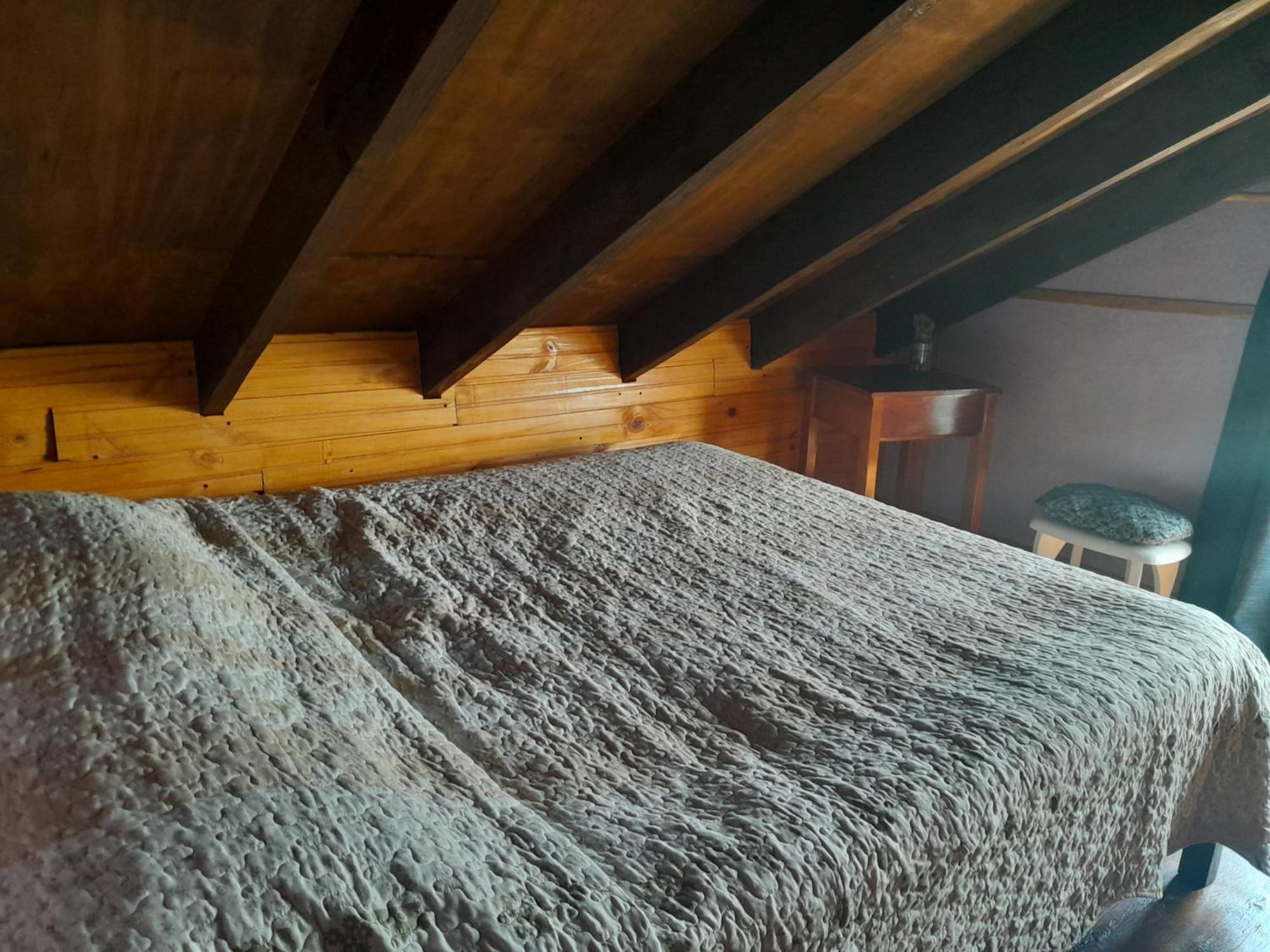 Bunker Hostel 카보 폴로니오 객실 사진